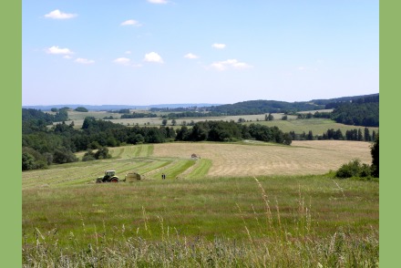 Landgoed Milire in het Boheemse Woud  in West Bohemen - Tsjechie HW4001